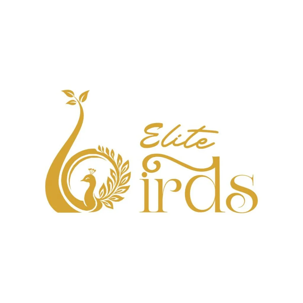 Home 143 Elite Nirds